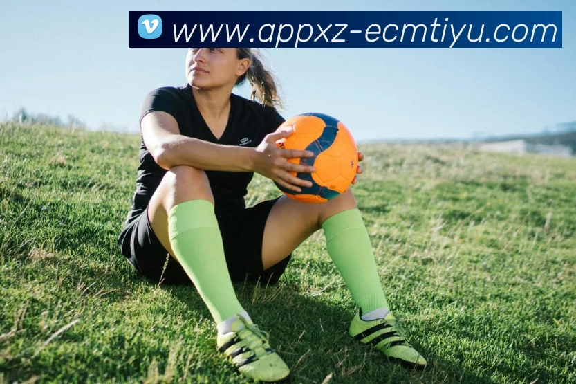 易倍体育服务体系